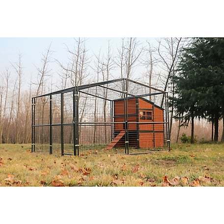 🔥🔥headroom and ventilation henhouse