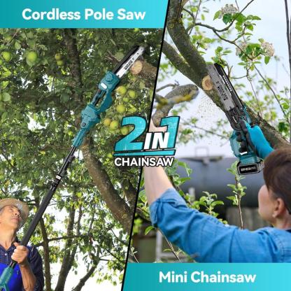 2 in 1 Cordless Pole Saw & Mini Chainsaw with 2 Batteries