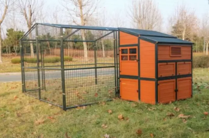 🔥🔥headroom and ventilation henhouse