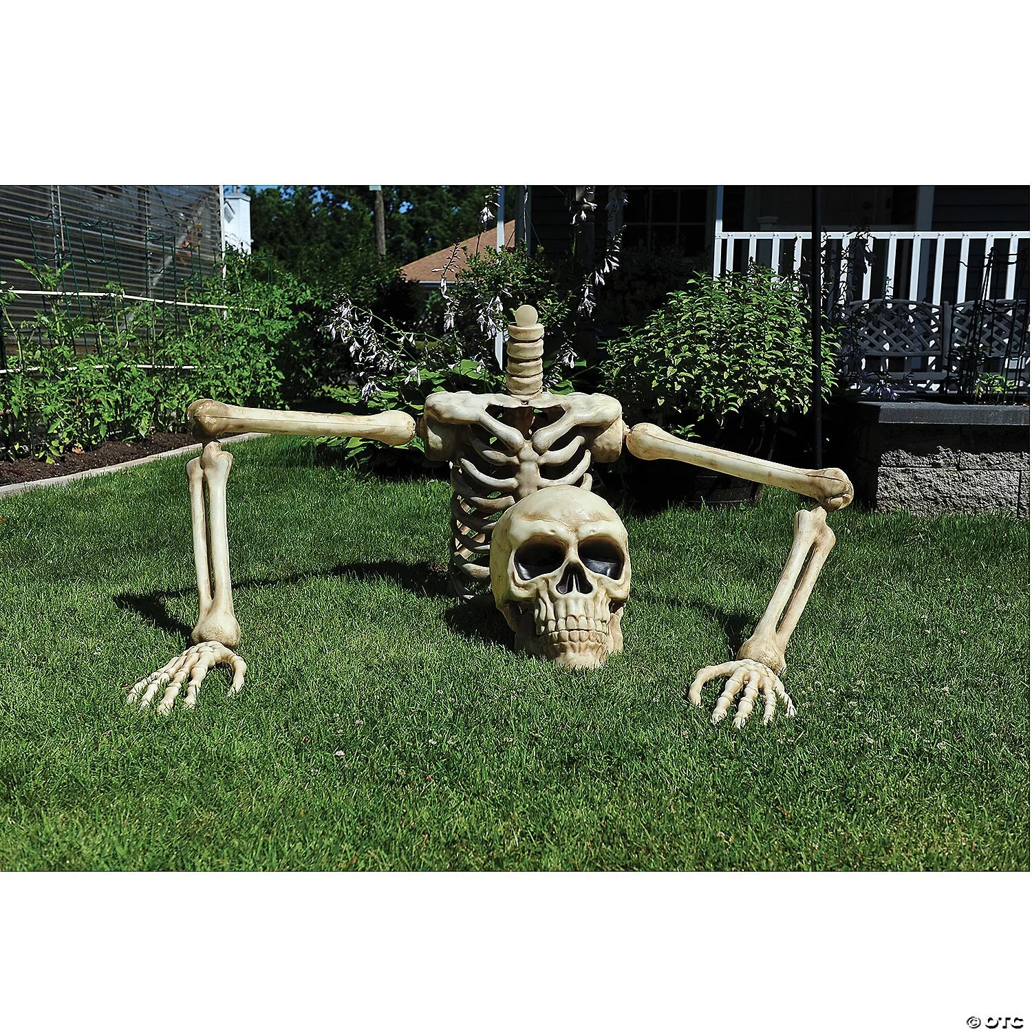 4 Ft. Posable Skeleton Halloween Decoration