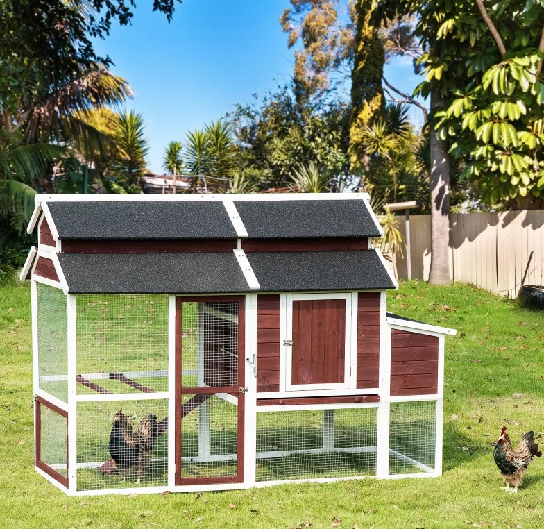 🔥🔥headroom and ventilation henhouse