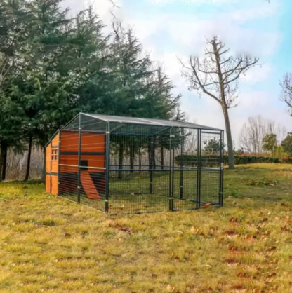 🔥🔥headroom and ventilation henhouse