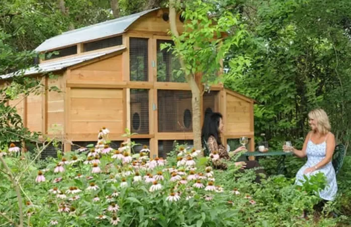 🔥🔥Round-Top Stand-Up XL Chicken Coop Up to 20 Hens Self-Contained
