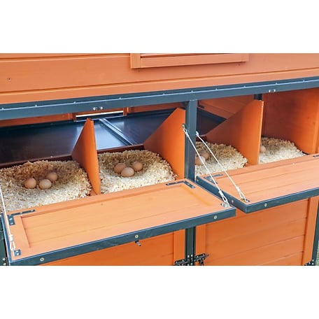 🔥🔥headroom and ventilation henhouse