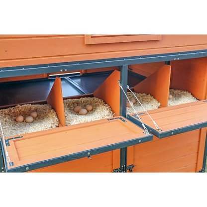 🔥🔥headroom and ventilation henhouse