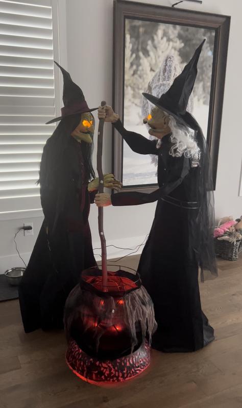 Deluxe Animated Brewing Witch Set