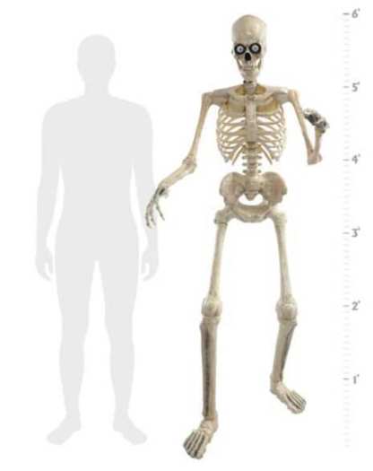 6 Ft Grim Animatronic