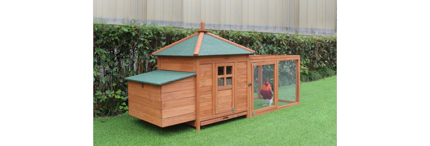 🔥Outdoor Wooden Chicken Coop with Ramp, Nesting Box, Wire Mesh Run, Waterproof