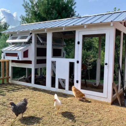 🔥🔥headroom and ventilation henhouse