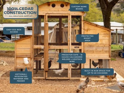 🔥🔥Round-Top Stand-Up XL Chicken Coop Up to 20 Hens Self-Contained