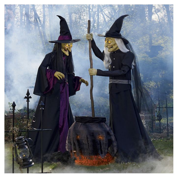 Deluxe Animated Brewing Witch Set