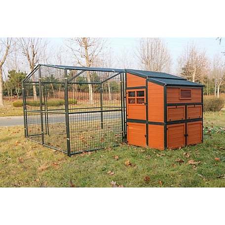 🔥🔥headroom and ventilation henhouse