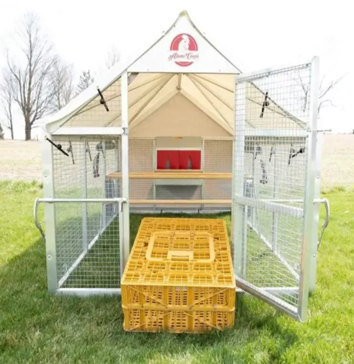 🔥headroom and ventilation henhouse