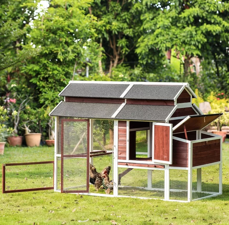 🔥🔥headroom and ventilation henhouse
