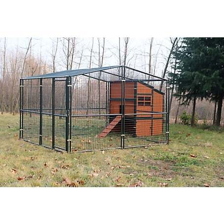 🔥🔥headroom and ventilation henhouse