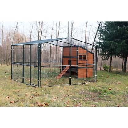 🔥🔥headroom and ventilation henhouse