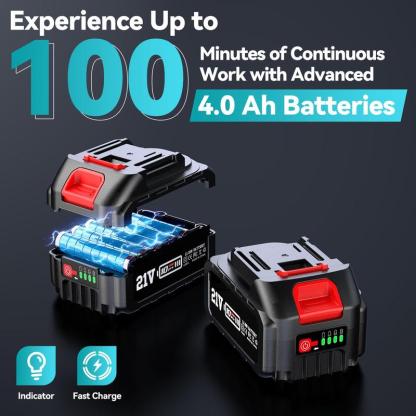 2 in 1 Cordless Pole Saw & Mini Chainsaw with 2 Batteries