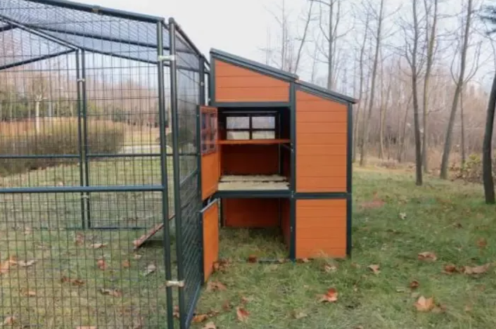🔥🔥headroom and ventilation henhouse