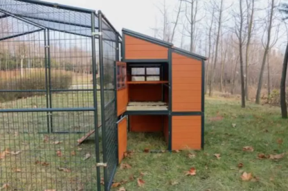 🔥🔥headroom and ventilation henhouse