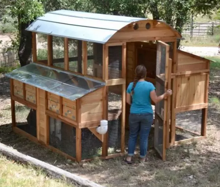 🔥🔥Round-Top Stand-Up XL Chicken Coop Up to 20 Hens Self-Contained