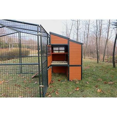 🔥🔥headroom and ventilation henhouse