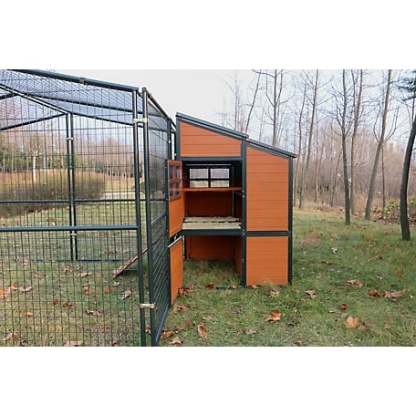 🔥🔥headroom and ventilation henhouse