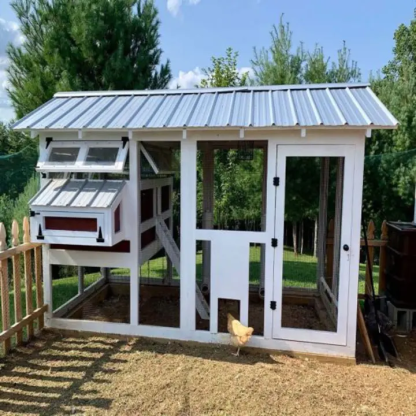 🔥🔥headroom and ventilation henhouse