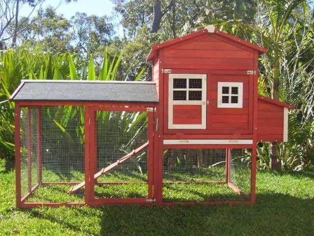 🔥🔥DoceninTMRed Resort Chicken Coop
