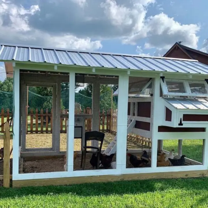🔥🔥headroom and ventilation henhouse