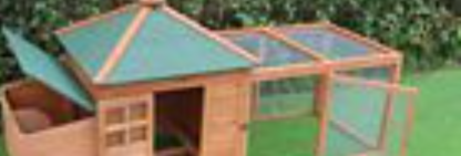 🔥Outdoor Wooden Chicken Coop with Ramp, Nesting Box, Wire Mesh Run, Waterproof