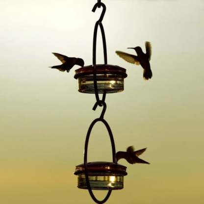 🎉 Last Day Promotion-70% OFF 🎉Hummble Slim Hummingbird Feeder