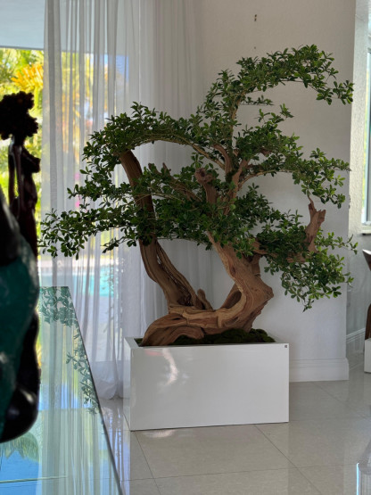 Artificial Black Olive Bonsai Tree in Jort Low Planter  ( With Flower Pots)
