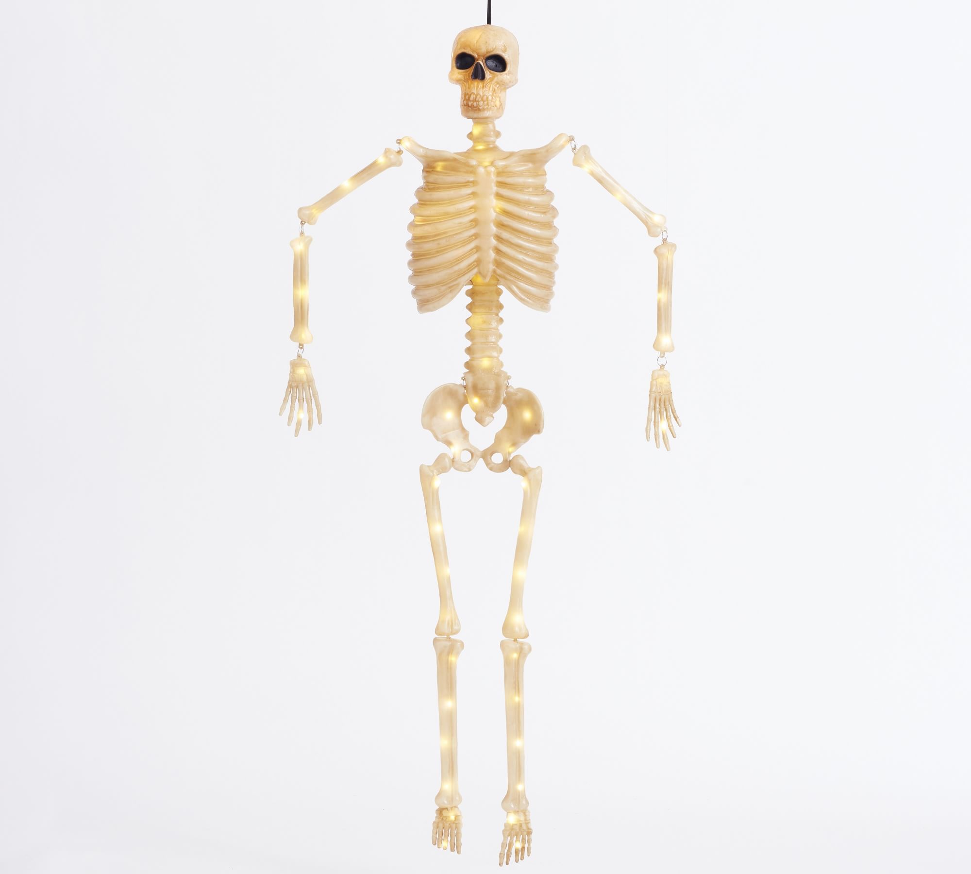 Lit Mr. Bones