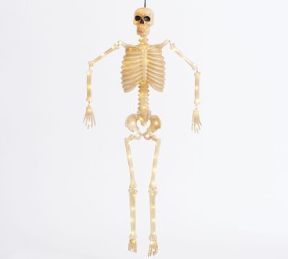 Lit Mr. Bones