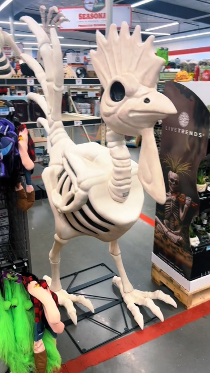 New! Red Shed 6 ft. Halloween Skeleton Rooster