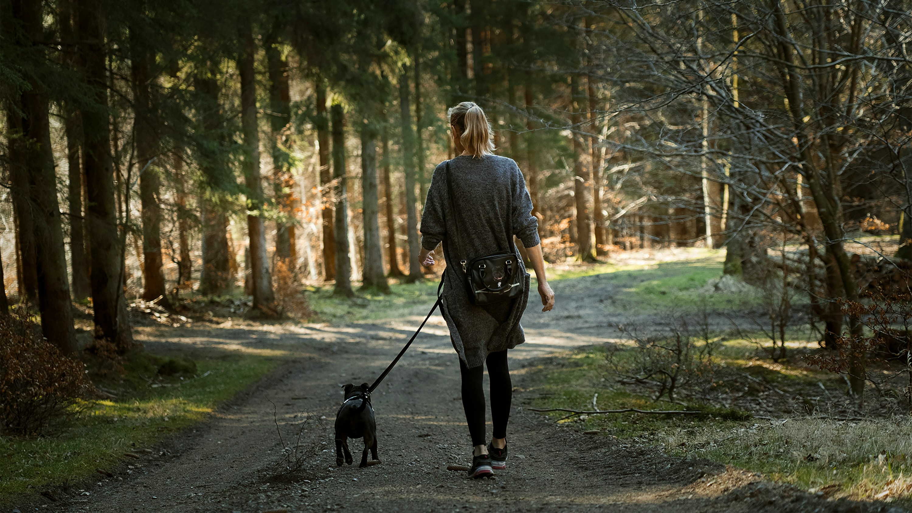 Dog Walking through gorgeous UK scenery