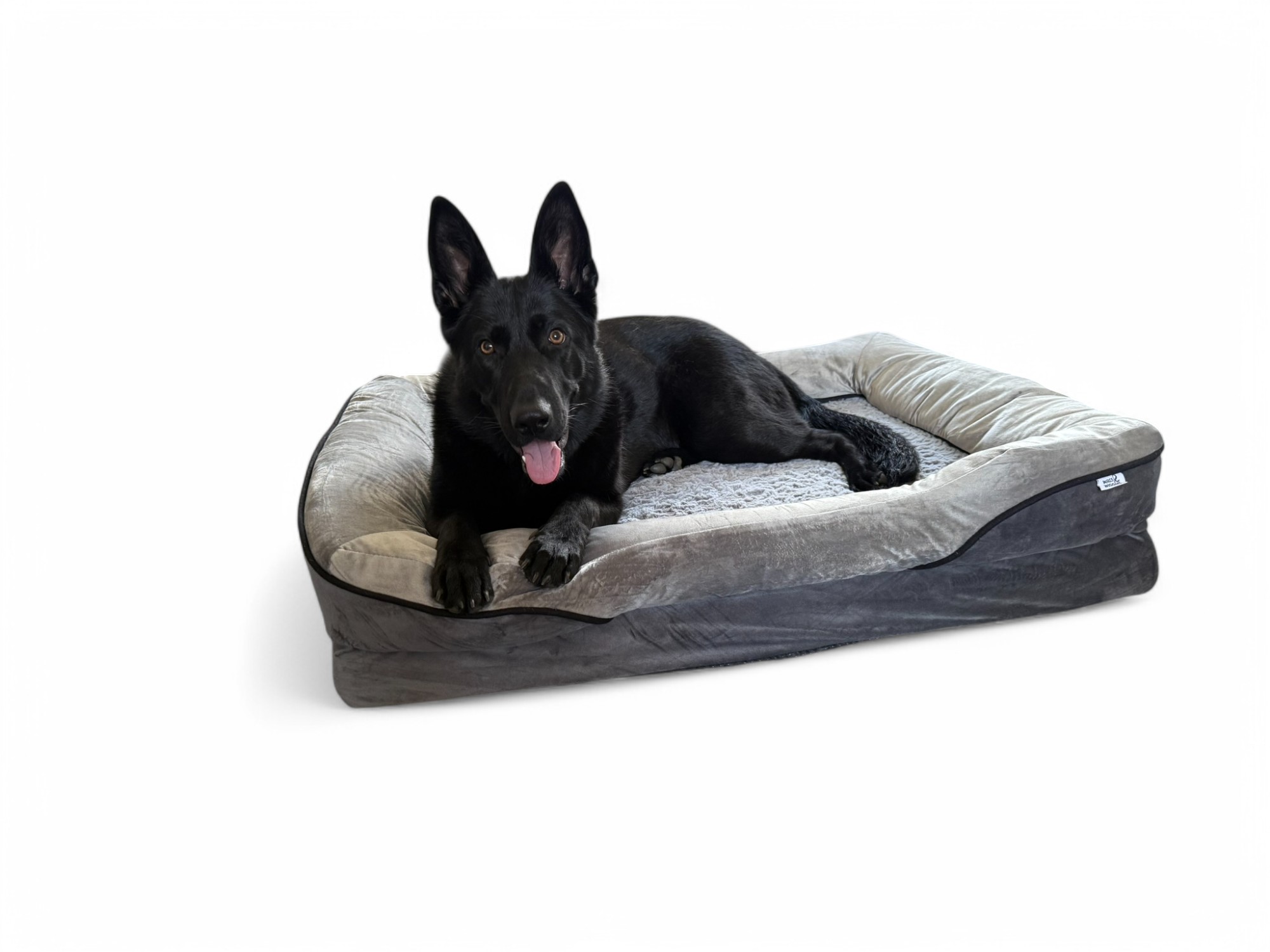 Premium Orthopaedic Dog Bed | Joint Support | Washable & Non-Slip Design