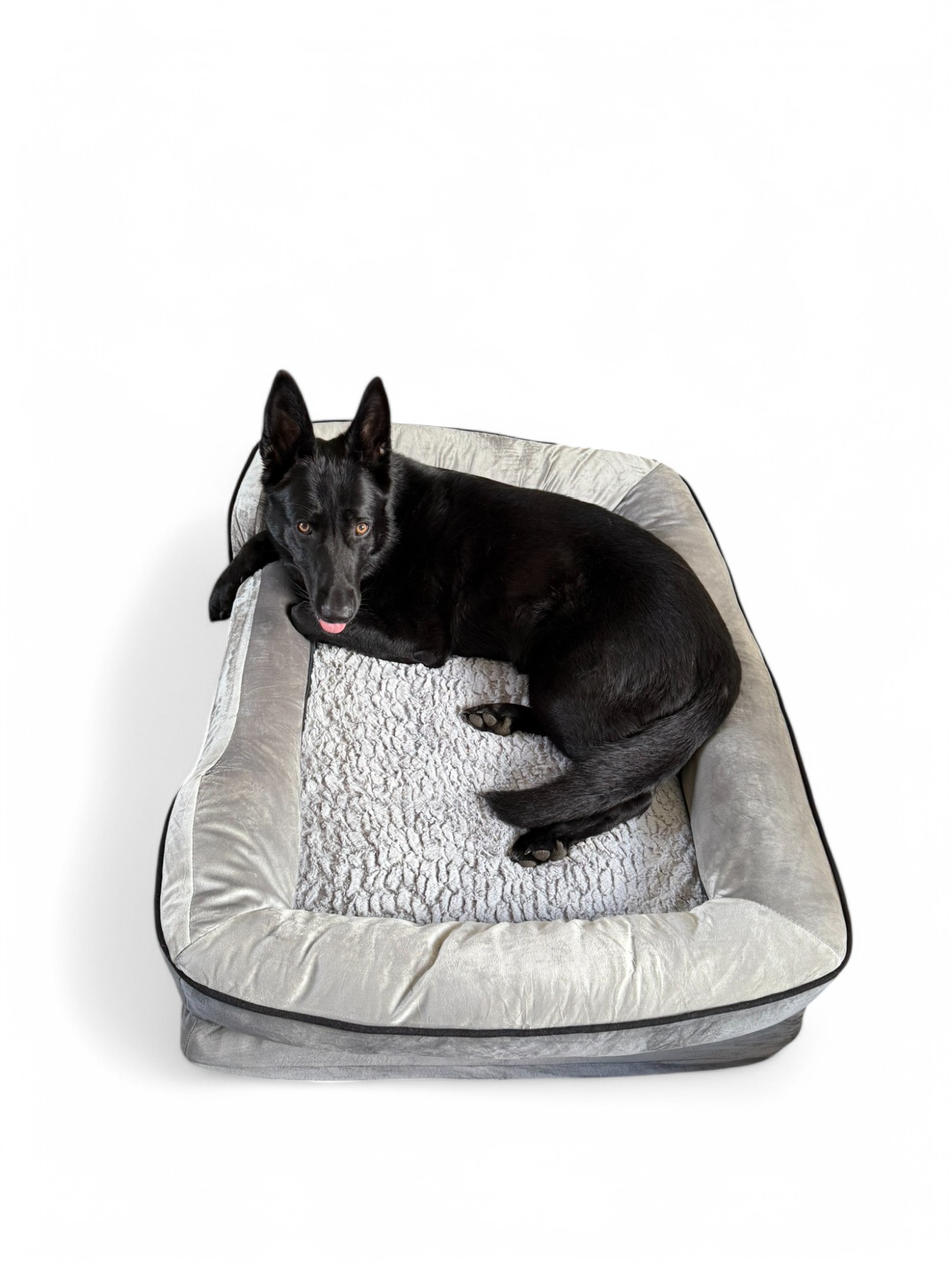 Premium Orthopaedic Dog Bed | Joint Support | Washable & Non-Slip Design