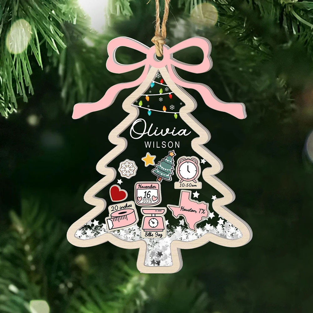 Custom Baby First Christmas Tree Ornament 2025 Baby 1st Christmas 4D Shake Ornament Newborn Gift