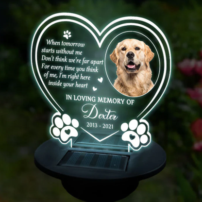 Personalised Photo Memorial Solar Garden Light Memorial Garden Sympathy Gift for Loss of Pet Light Up Remembrance Stake Gift for Pet Owners