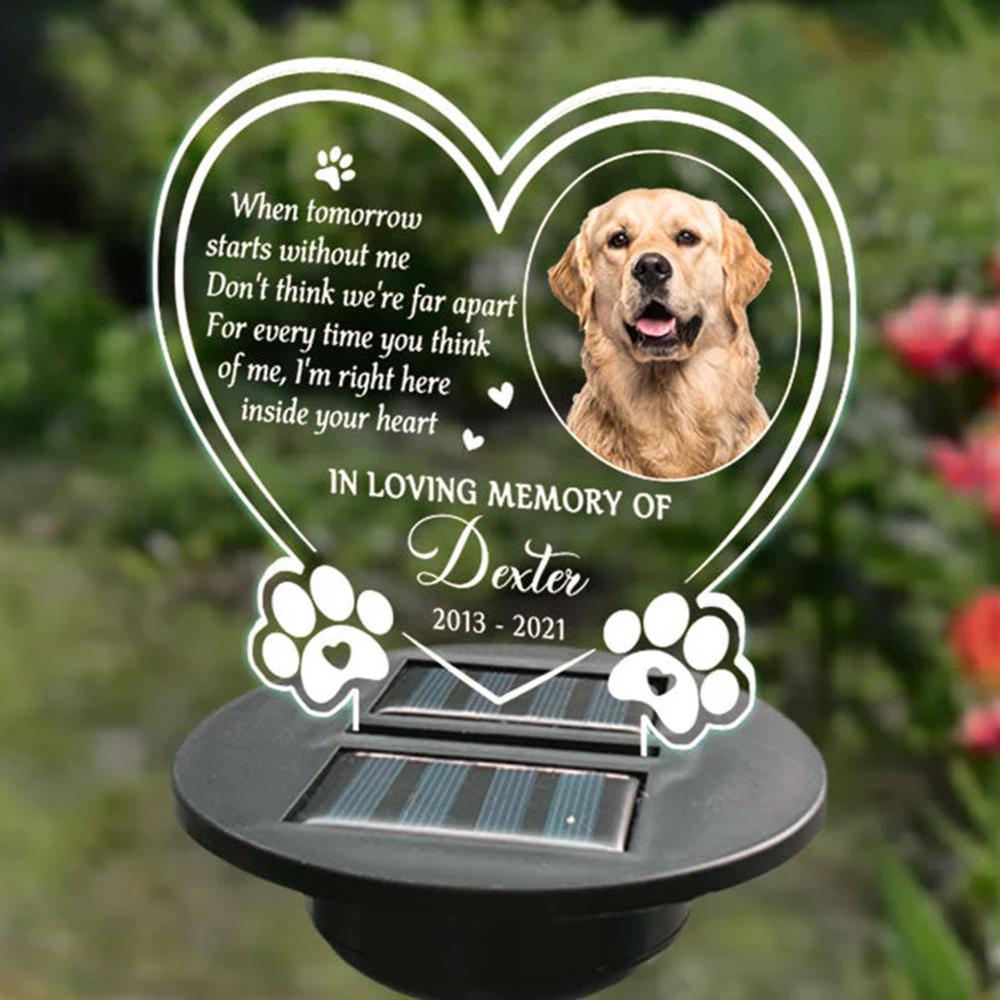 Personalised Photo Memorial Solar Garden Light Memorial Garden Sympathy Gift for Loss of Pet Light Up Remembrance Stake Gift for Pet Owners