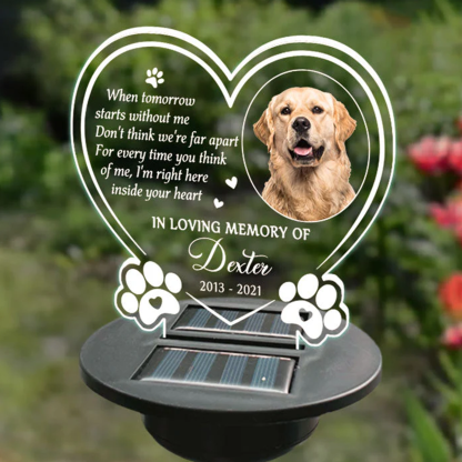 Personalised Photo Memorial Solar Garden Light Memorial Garden Sympathy Gift for Loss of Pet Light Up Remembrance Stake Gift for Pet Owners