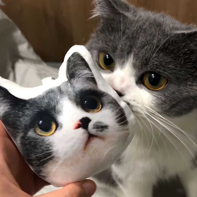 Custom 3D Photo Pillow Keychain Personalised Picture Printing Pet and Loved Ones Memorial Pillow Perfect Gift for Christmas