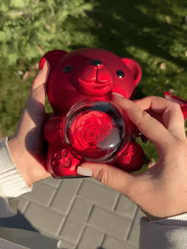 Preserved Eternal Rose Bear Giftbox with Sterling Silver Four Leaf Clover Heart Necklace Valentine's Day Jewelry Set