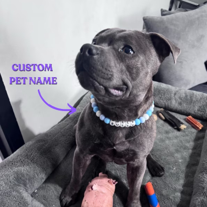 Personalised Beaded Name Dog Collar Durable Waterproof Dog Collar Handmade Gift for Pet Lover