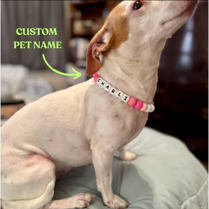 Personalised Beaded Name Dog Collar Durable Waterproof Dog Collar Handmade Gift for Pet Lover