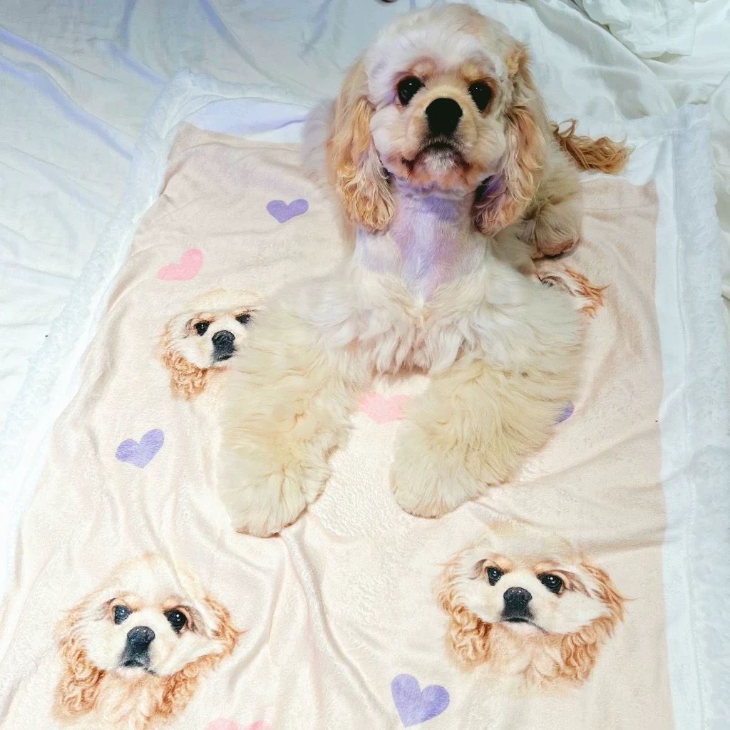 Personalised Pet Photo Blanket Custom Dog Face and Name Blankets Cat Throw Blankets Pet Lover Gifts