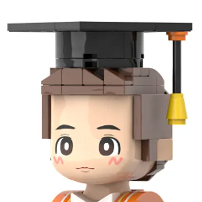 Custom Graduation Brick Figure from Photo | Personalised 1 Person Student Gift