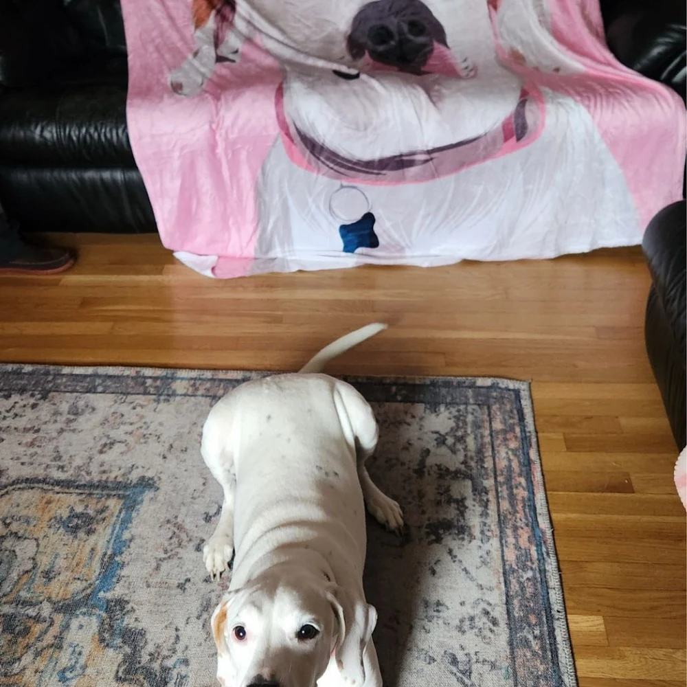Custom Pet Blanket Pet Portrait Custom Photo Dog Cat Blanket