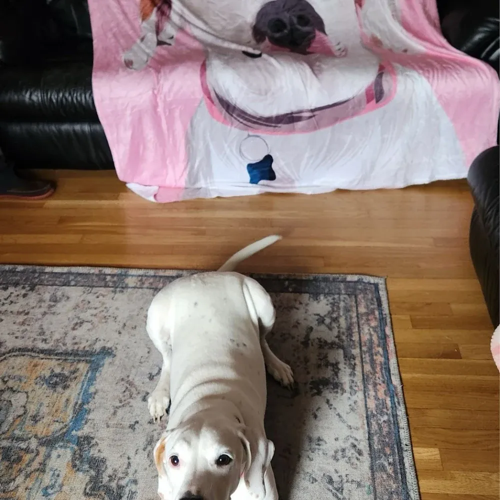 Custom Pet Blanket Pet Portrait Custom Photo Dog Cat Blanket